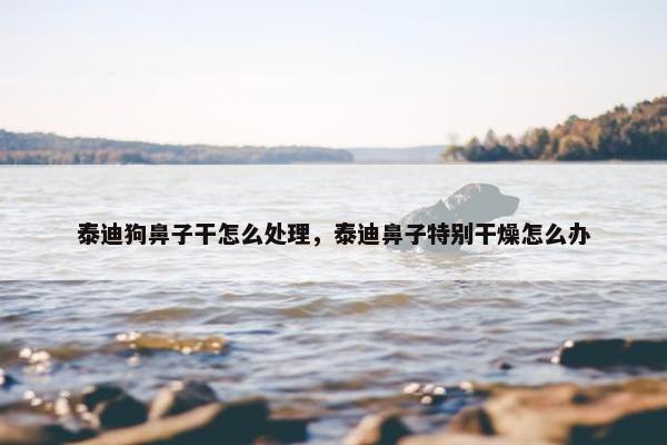 泰迪狗鼻子干怎么处理，泰迪鼻子特别干燥怎么办