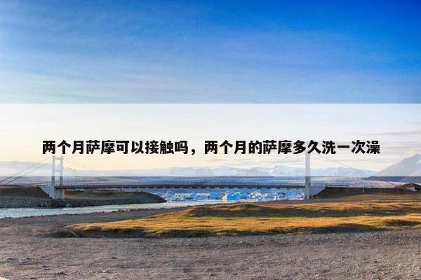 两个月萨摩可以接触吗，两个月的萨摩多久洗一次澡