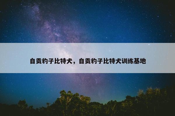自贡豹子比特犬，自贡豹子比特犬训练基地
