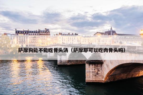 萨摩狗能不能吃骨头汤（萨摩耶可以吃肉骨头吗）