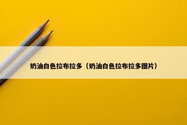 奶油白色拉布拉多（奶油白色拉布拉多图片）