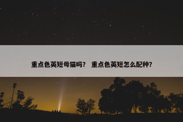 重点色英短母猫吗？ 重点色英短怎么配种？