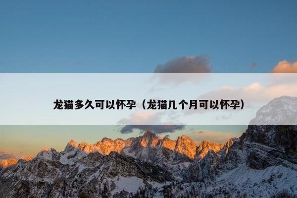 龙猫多久可以怀孕（龙猫几个月可以怀孕）