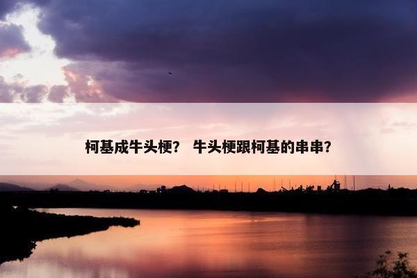 柯基成牛头梗？ 牛头梗跟柯基的串串？