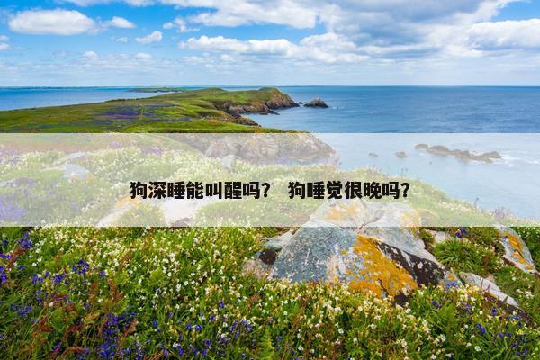 狗深睡能叫醒吗？ 狗睡觉很晚吗？