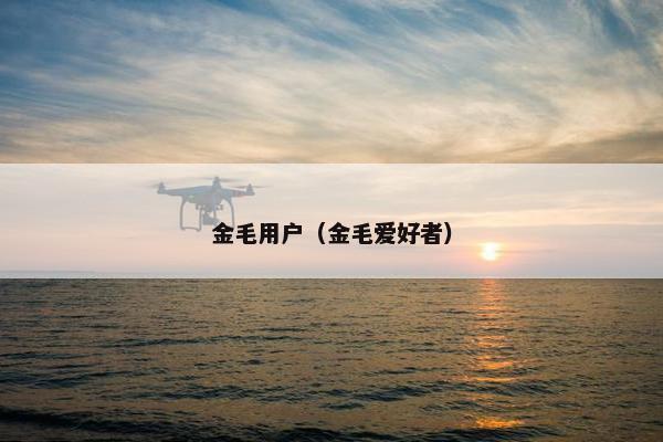 金毛用户（金毛爱好者）