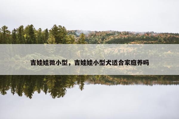 吉娃娃微小型，吉娃娃小型犬适合家庭养吗