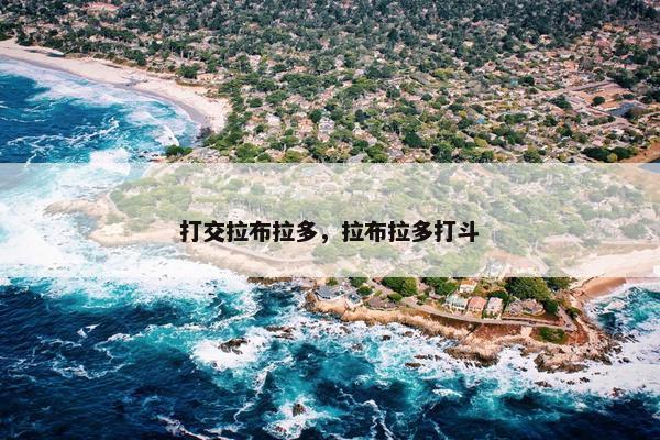 打交拉布拉多，拉布拉多打斗