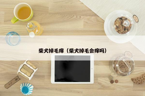 柴犬掉毛痒（柴犬掉毛会痒吗）