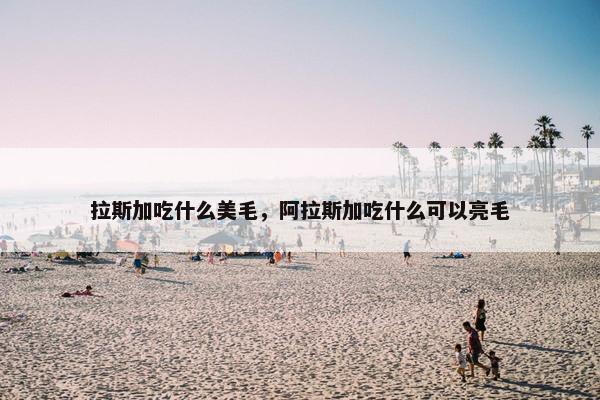 拉斯加吃什么美毛，阿拉斯加吃什么可以亮毛