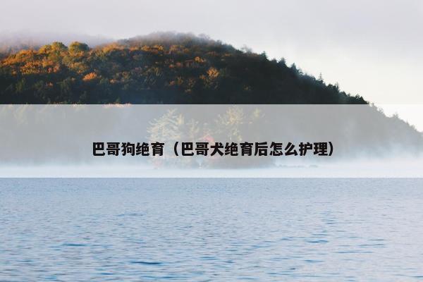 巴哥狗绝育（巴哥犬绝育后怎么护理）