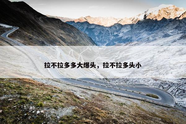 拉不拉多多大爆头，拉不拉多头小