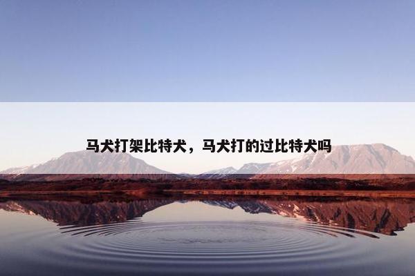 马犬打架比特犬，马犬打的过比特犬吗