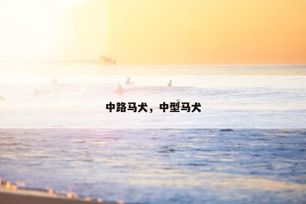中路马犬，中型马犬