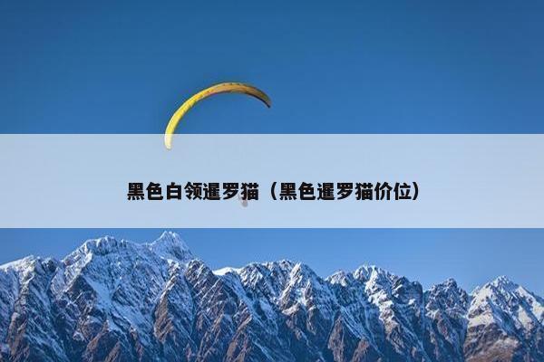 黑色白领暹罗猫（黑色暹罗猫价位）