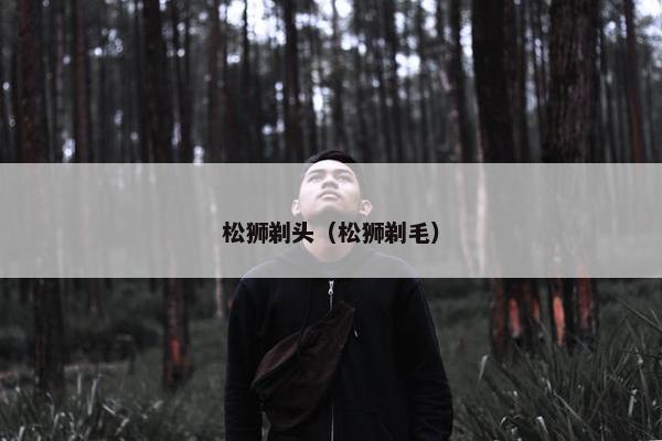 松狮剃头（松狮剃毛）