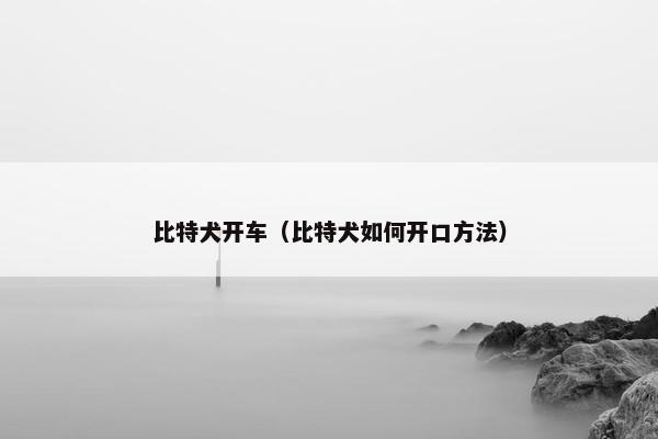 比特犬开车（比特犬如何开口方法）