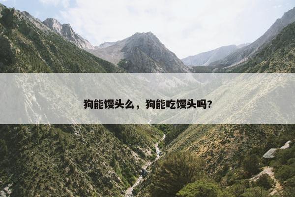 狗能馒头么，狗能吃馒头吗?