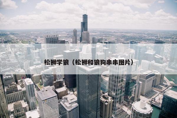 松狮学狼（松狮和狼狗串串图片）