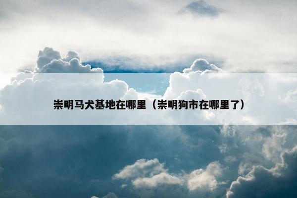 崇明马犬基地在哪里（崇明狗市在哪里了）