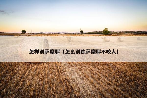 怎样训萨摩耶（怎么训练萨摩耶不咬人）