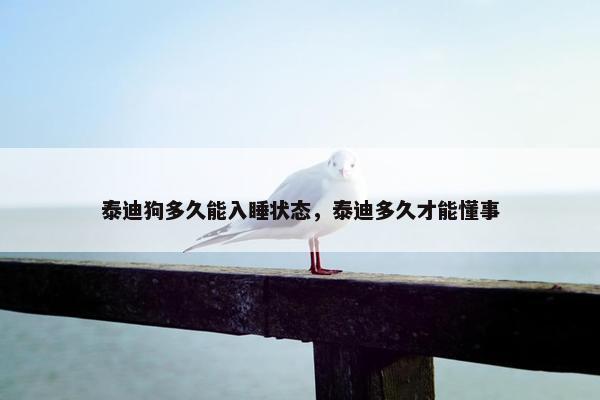 泰迪狗多久能入睡状态，泰迪多久才能懂事
