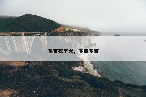 多吉牧羊犬，多吉多吉