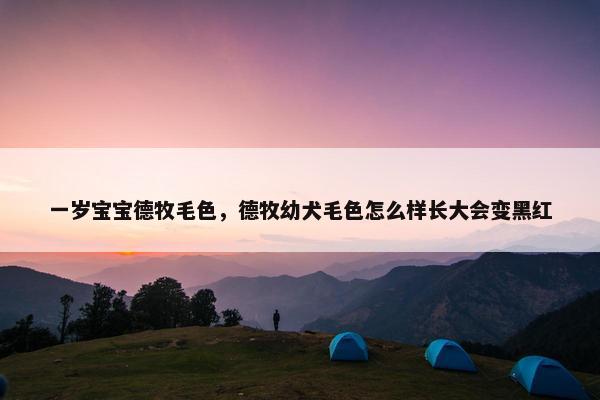 一岁宝宝德牧毛色，德牧幼犬毛色怎么样长大会变黑红