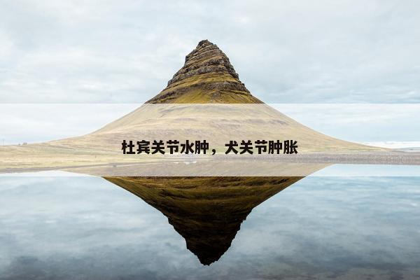 杜宾关节水肿，犬关节肿胀