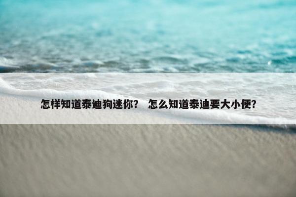 怎样知道泰迪狗迷你？ 怎么知道泰迪要大小便？