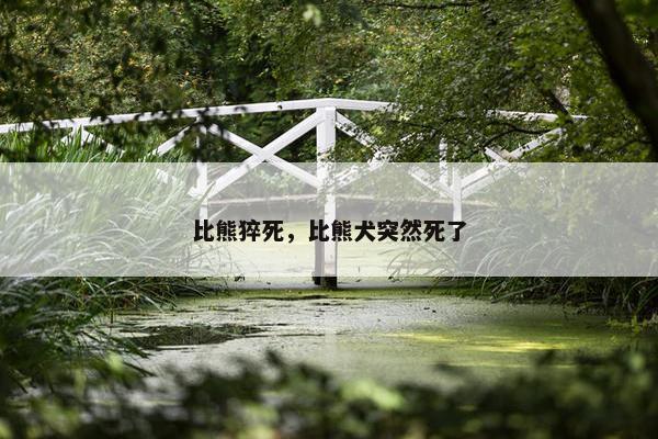 比熊猝死，比熊犬突然死了