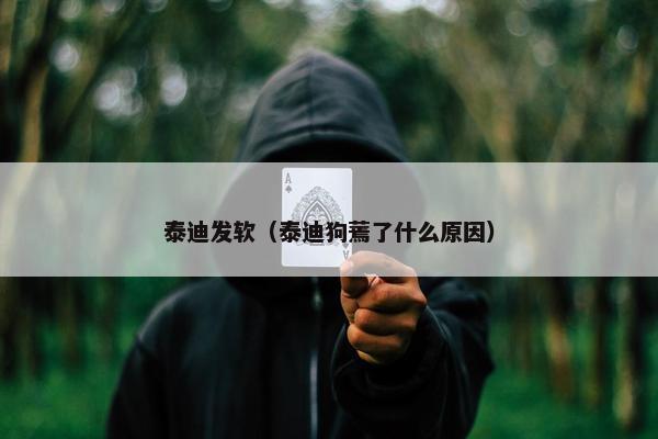 泰迪发软（泰迪狗蔫了什么原因）
