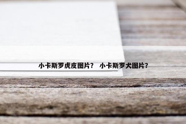 小卡斯罗虎皮图片？ 小卡斯罗犬图片？