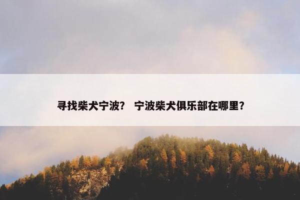 寻找柴犬宁波？ 宁波柴犬俱乐部在哪里？