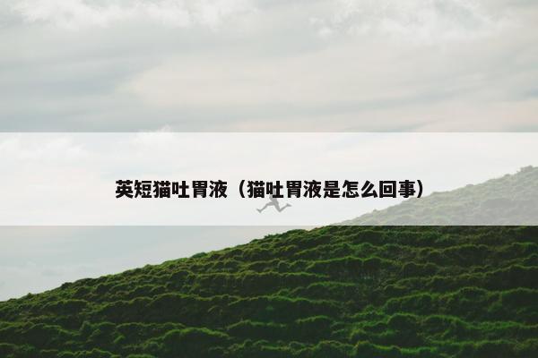 英短猫吐胃液（猫吐胃液是怎么回事）