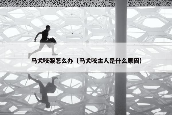 马犬咬架怎么办（马犬咬主人是什么原因）