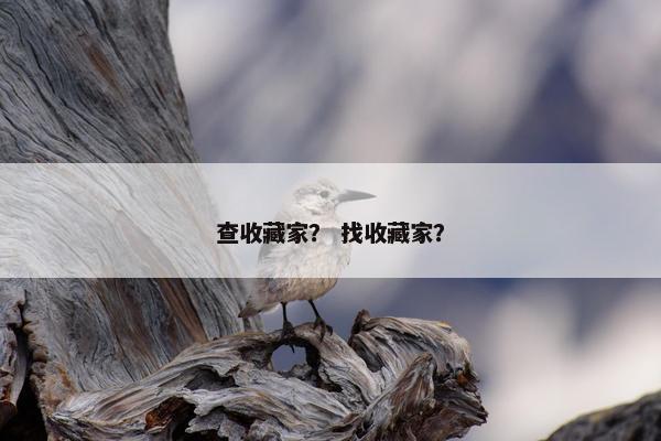 查收藏家？ 找收藏家？