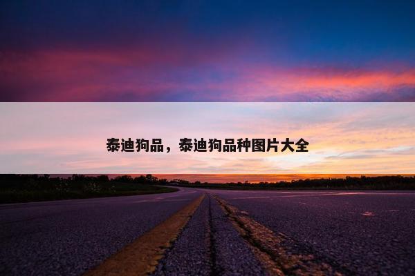 泰迪狗品，泰迪狗品种图片大全