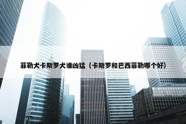 菲勒犬卡斯罗犬谁凶猛（卡斯罗和巴西菲勒哪个好）