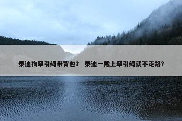 泰迪狗牵引绳带背包？ 泰迪一戴上牵引绳就不走路？