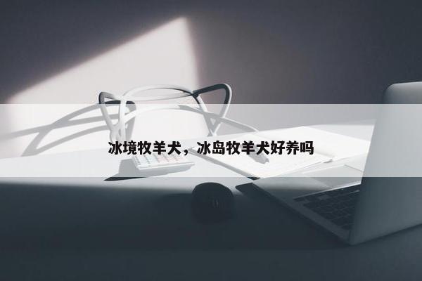 冰境牧羊犬，冰岛牧羊犬好养吗