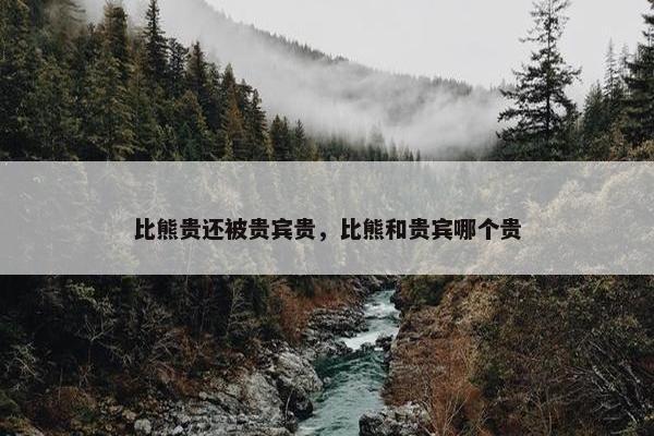 比熊贵还被贵宾贵，比熊和贵宾哪个贵