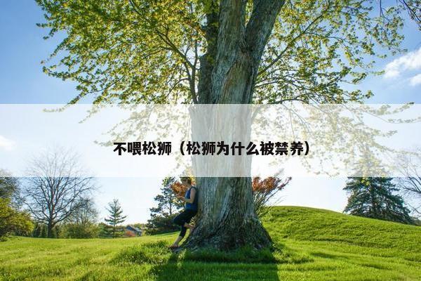 不喂松狮（松狮为什么被禁养）