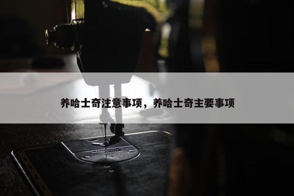 养哈士奇注意事项，养哈士奇主要事项