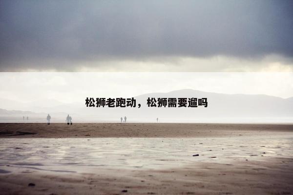 松狮老跑动，松狮需要遛吗