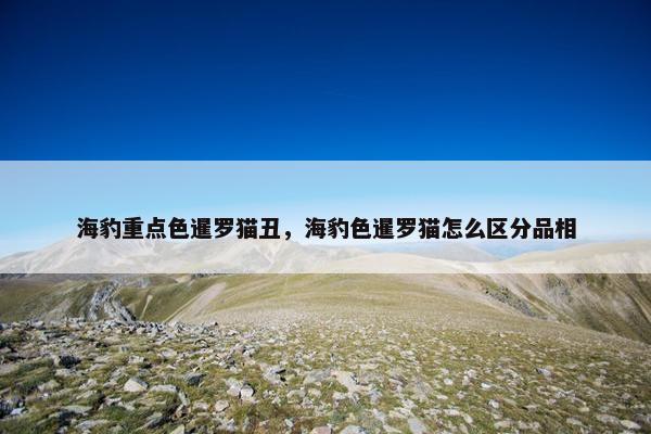 海豹重点色暹罗猫丑，海豹色暹罗猫怎么区分品相