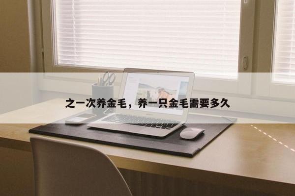 之一次养金毛，养一只金毛需要多久