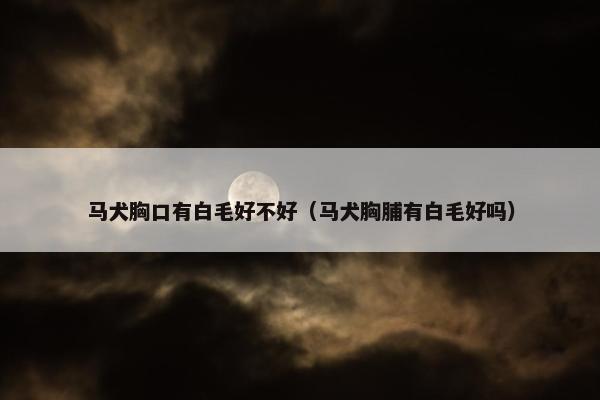 马犬胸口有白毛好不好（马犬胸脯有白毛好吗）