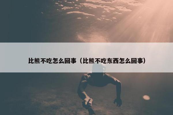 比熊不吃怎么回事（比熊不吃东西怎么回事）