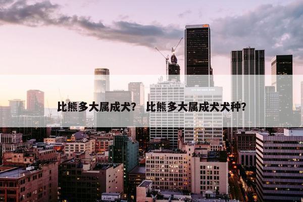 比熊多大属成犬？ 比熊多大属成犬犬种？